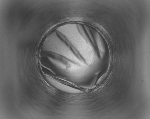 X0000082961212200702152257