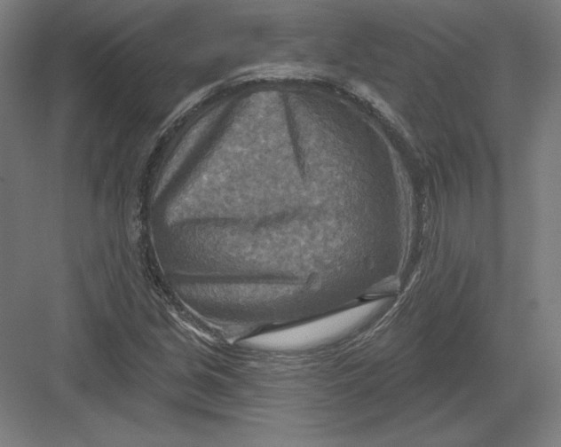 X0000082961213200702152257