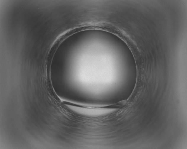 X0000082961214200702152257