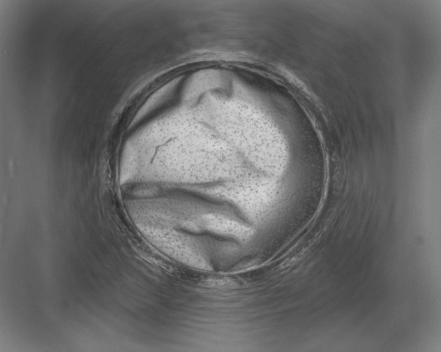 X0000082961215200702152257