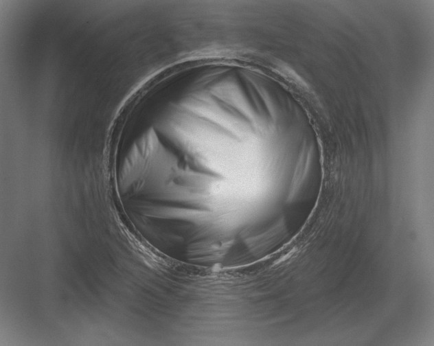 X0000082961216200702152257