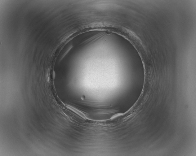 X0000082961217200702152257