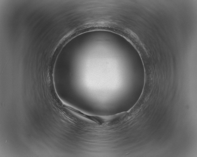 X0000082961218200702152257