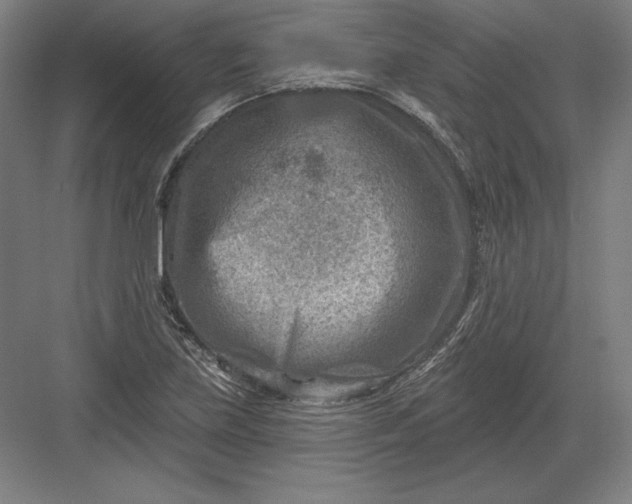 X0000082961219200702152257