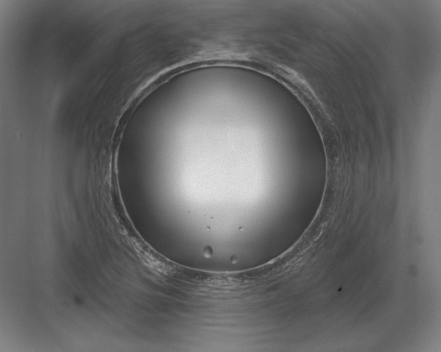 X0000082961220200702152257