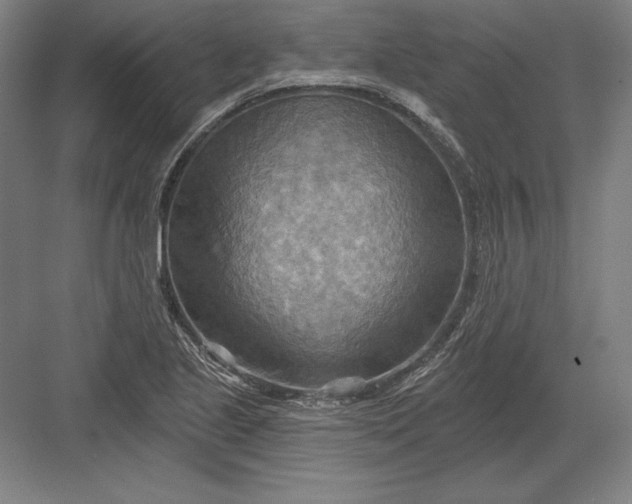 X0000082961221200702152257