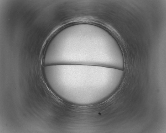 X0000082961224200702152257