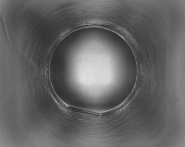 X0000082961225200702152257