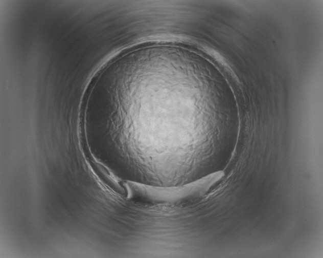 X0000082961229200702152257