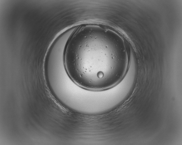 X0000082961230200702152257