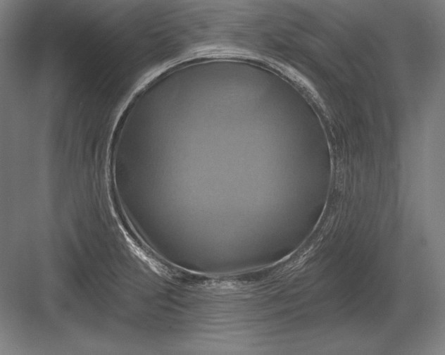 X0000082961231200702152257