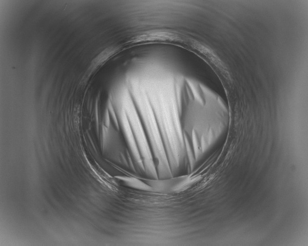 X0000082961233200702152257