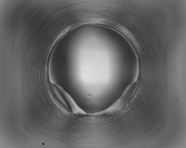 X0000082961234200702152257