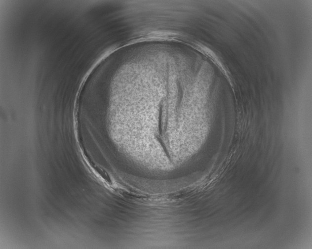 X0000082961235200702152257