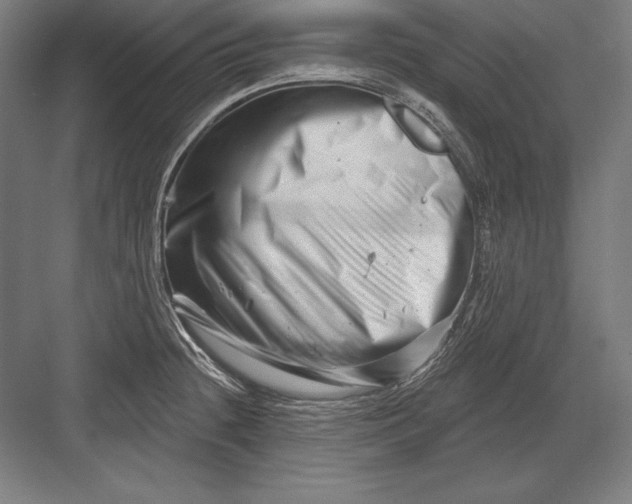 X0000082961236200702152257