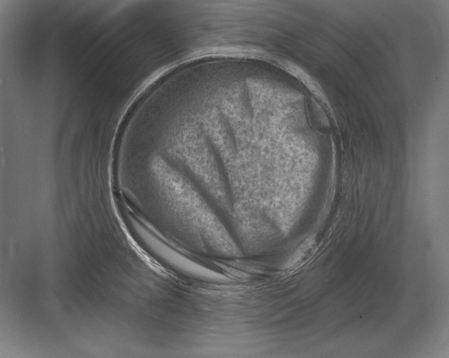 X0000082961237200702152257