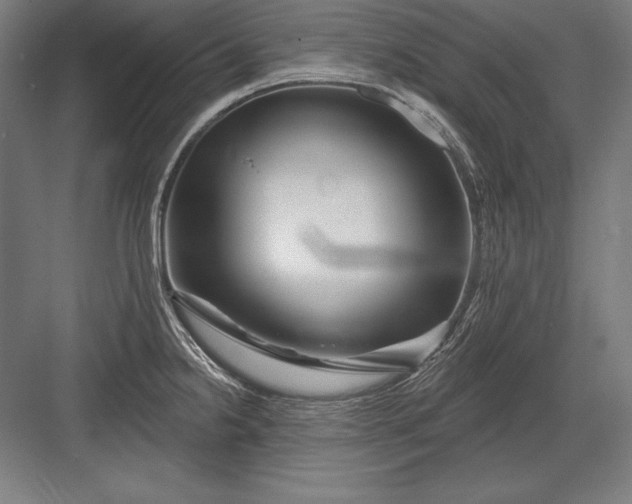 X0000082961238200702152257