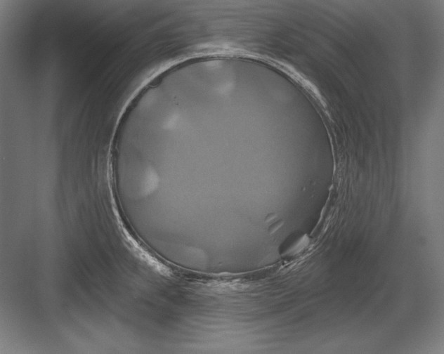 X0000082961239200702152257