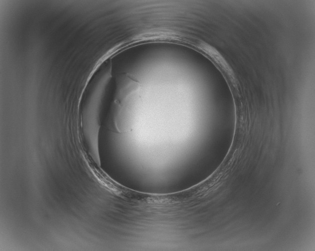 X0000082961242200702152257