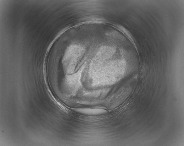 X0000082961243200702152257