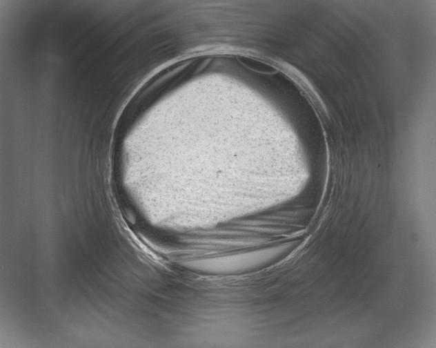 X0000082961244200702152257