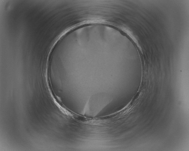 X0000082961245200702152257