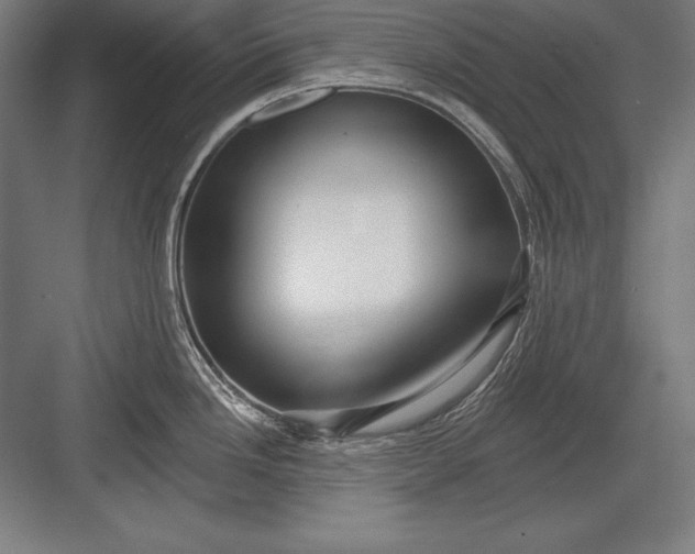 X0000082961246200702152257