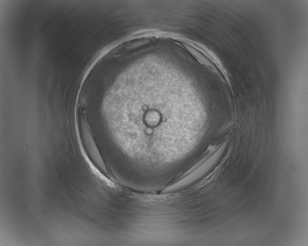 X0000082961247200702152257