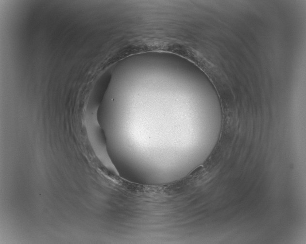 X0000082961249200702152257