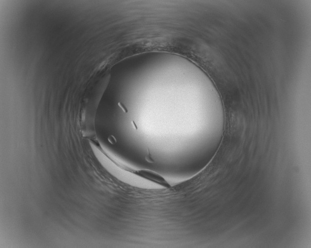 X0000082961250200702152257