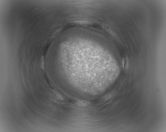 X0000082961251200702152257