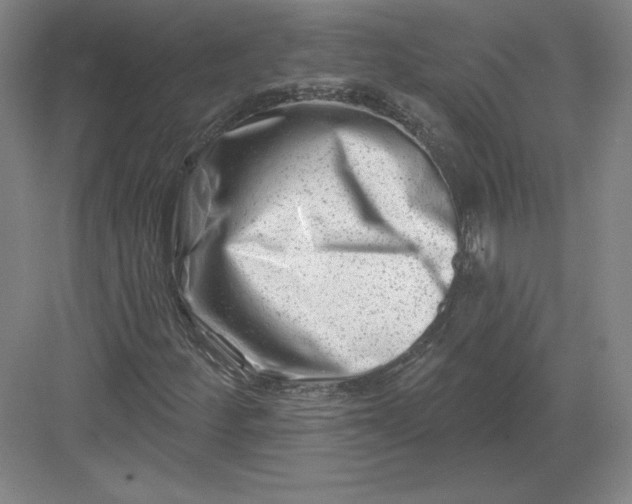 X0000082961252200702152257