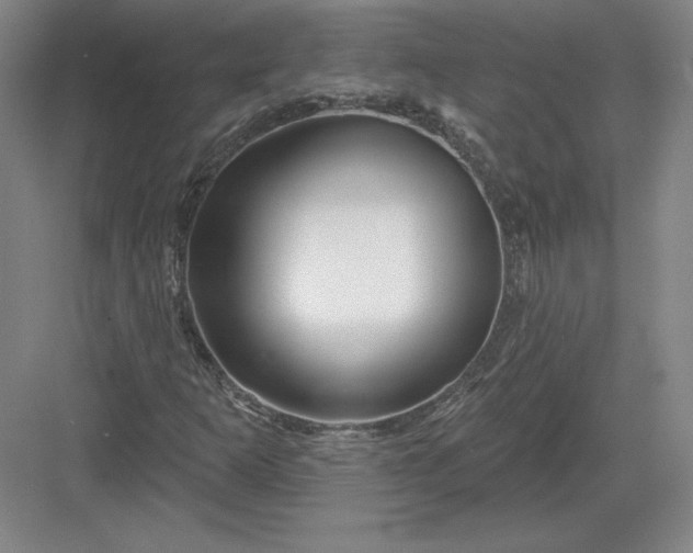 X0000082961253200702152257