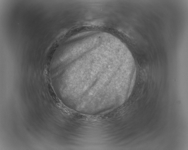 X0000082961254200702152257