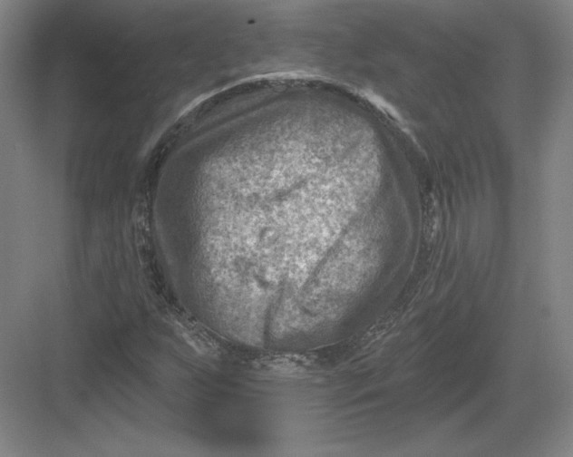 X0000082961255200702152257