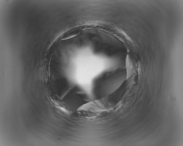 X0000082961256200702152257