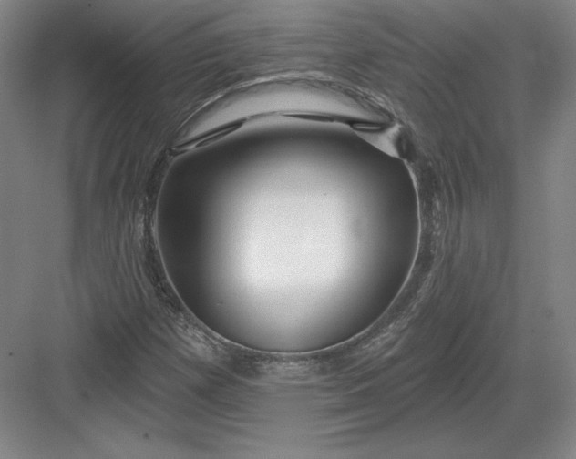 X0000082961257200702152257