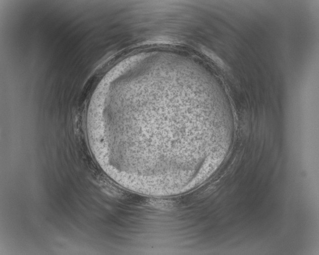 X0000082961258200702152256