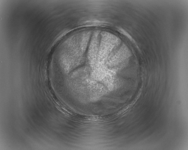 X0000082961259200702152256