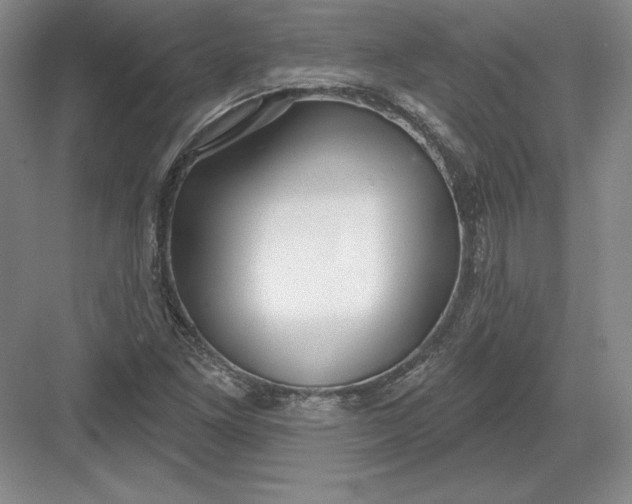 X0000082961261200702152256