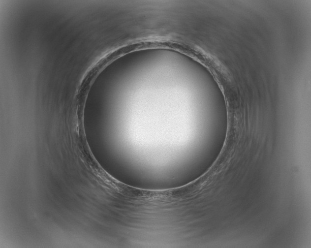 X0000082961262200702152256