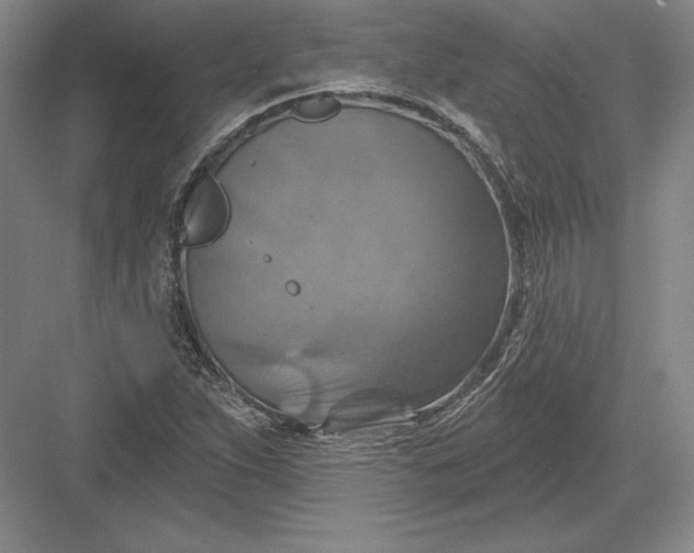 X0000082961263200702152256