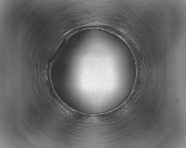 X0000082961265200702152256