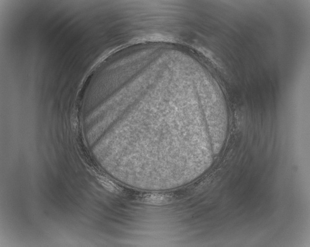 X0000082961266200702152256