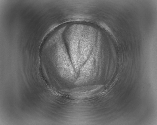 X0000082961267200702152256