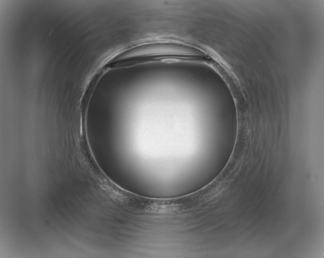 X0000082961269200702152256