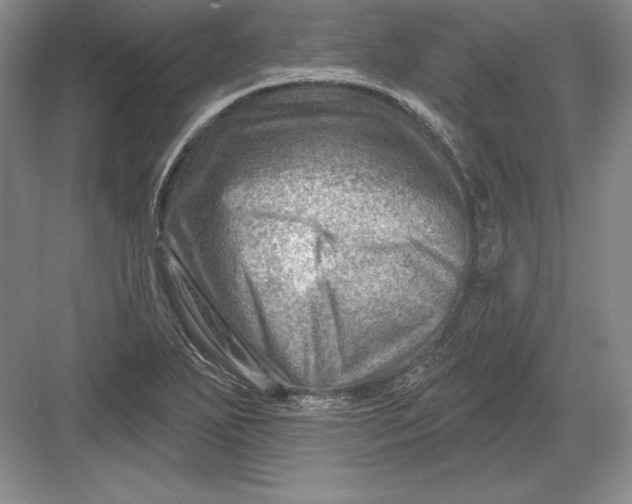 X0000082961271200702152256