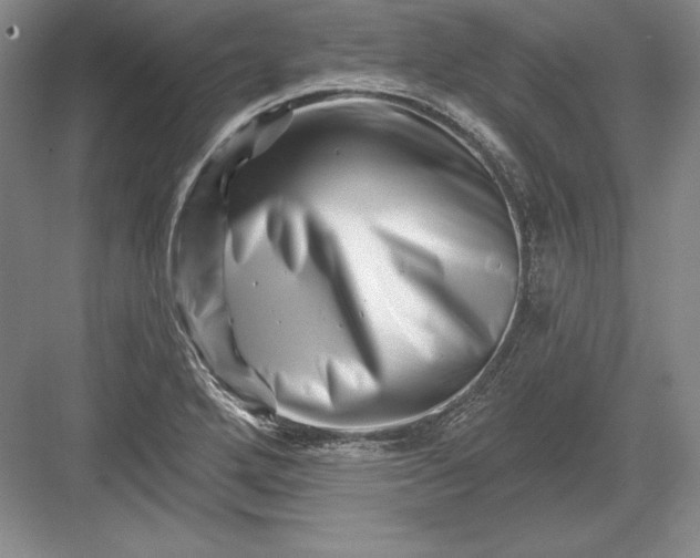 X0000082961272200702152256