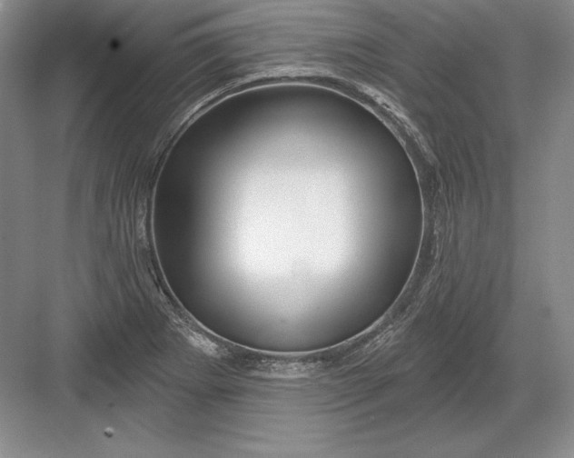 X0000082961273200702152256