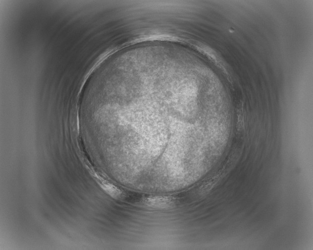 X0000082961274200702152256